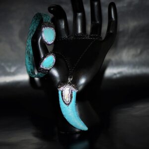 Turquoise Python set