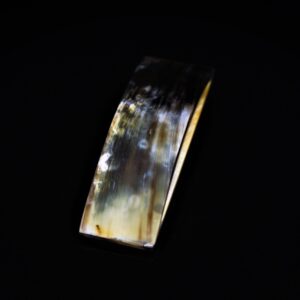 Statementl horn pendant